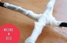 Jak wyczyścić żeliwne ruszta na kuchni gazowej?

Do wyczyszczenia potrzebne będą:

ocet - jeśli bardzo nie lubicie jego zapachu, to można też użyć silnego środka do czyszczenia ...