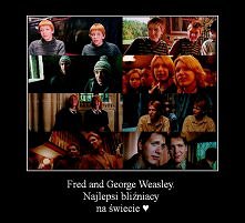 "Zawsze uważałem,że my z Fredem powinniśmy dostac ze szystkiego P,bo sam fakt,że pojawiliśmy się na egzaminach był powyżej oczekiwań." :) Kocham ich!