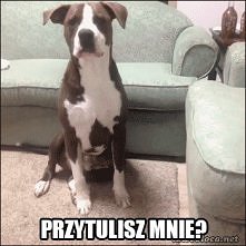 gif przytulisz mnie. ?
