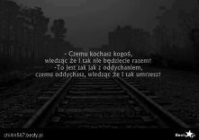 True Story.