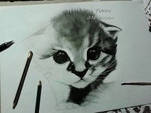 Piękne, szkoda że to nie mo...