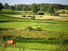 Mazurskie krajobrazy xD