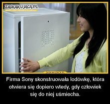 "umrzesz z głodu jeżel...