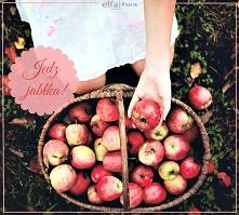 Jedz jabłka :)

A Wy kibicu...