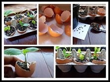 , How to, how to do, diy instructions, crafts, do it yourself, diy website, art project ideas