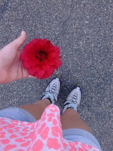 kwiatuszeg :) a wy jeździci...