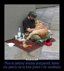 przykre, ale prawdziwe...:(