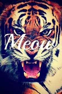 meow