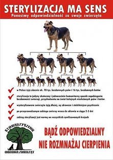 Sterylizacja ma sens