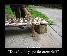 Wiewióra sprycióra