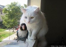 Noooooo  zaraz  tego  ptaszka  nie  będzie ):