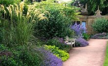 alejka w odcieniach fioletu...