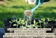 Do podlewania roślin użyj w...