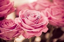 podawajcie swoje instagramy MOJ TO: klaudiahalaczkiewicz , f za f i l za l :)))