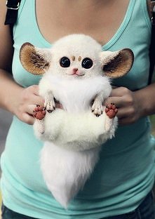 Jakie zajebisty ::d OOO 0.0