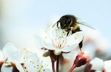 była sobie wiosna...