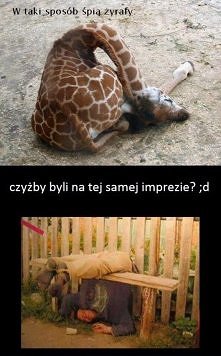 hahha o nie mogę xddd