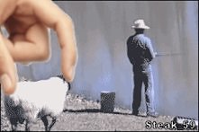.....