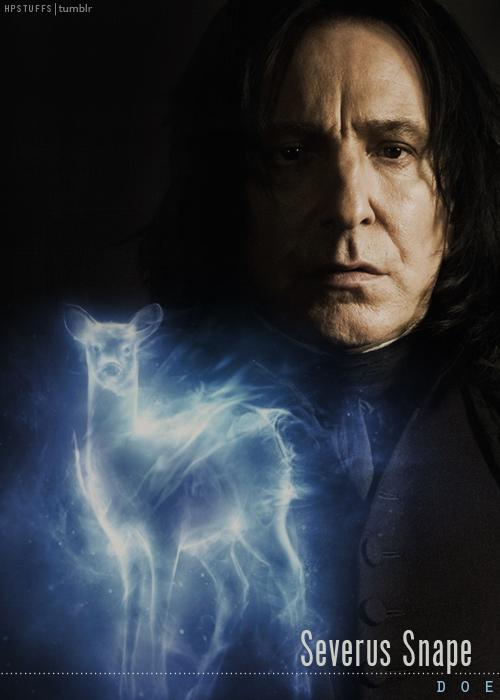 snape<3
