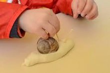 ślimak z masy solnej