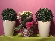 doniczka z papierowej wikliny
zapraszamy na bloga: magda-iza.blogspot.com