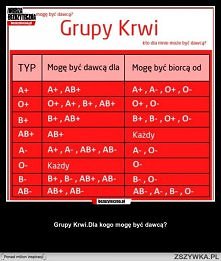 grupy krwi