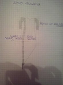 CO sądzicie o tym projekcie ?