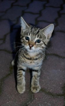 Znalezione cudeńko :*