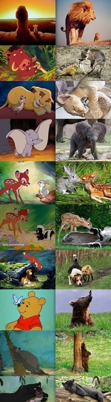 Istnieją naprawdę;-)