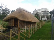 kilka zdj z mojego pobytu w Irlandii (07.2014)
 Botanic Garden