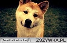 PIESEEEEEEEEEEEŁ :*