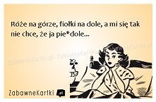 Róże na górze, fiołki na dole...