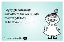 Gdyby głupota miała skrzydła...