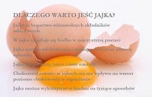 Dlaczego warto jeść jajka?
