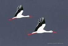 Obrazek A4 - bociany