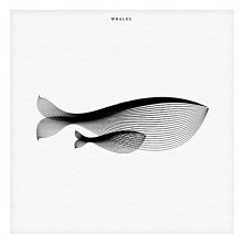 Zwierzęta w prążki moiré