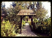 gdzieś w Kazimierzu Dolnym