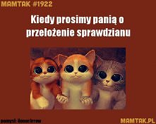 Ale my tak pięknie panią pr...