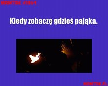 Kici kici mały pajączku, gd...