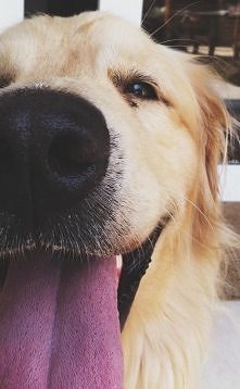 the best friend on the world !