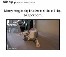 Buu
