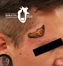 Speak in Color , wodzislaw 
wykonał KOSA