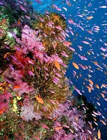 Piękno Nowej Zelandii pod w...