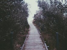 *-*