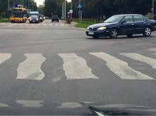 zebra po weekendzie :)