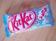 Japoński Kit - Kat