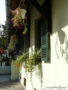 Grecja we Wrocławiu