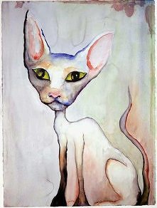 Uwielbiam !B.H.Warner