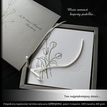 indywidualny projekt zapros...