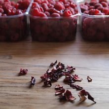 maliny, hibiskus i czekoladowe pancakes